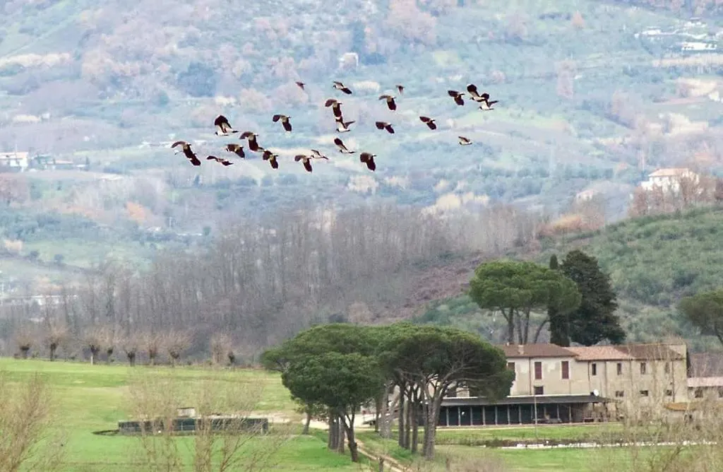 Agriturismo La Polledrara-1